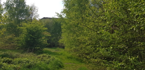 Fort de la Chartreuse - Liège, Belgie (2)